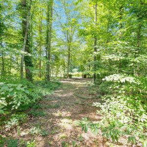 Photo #19 of Lot A PENNY LN, CHARLOTTESVILLE, VA 2.0 acres