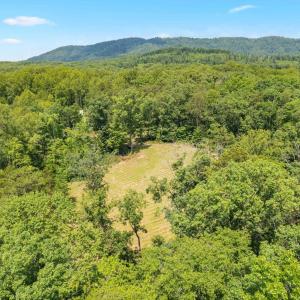 Photo #28 of Lot A PENNY LN, CHARLOTTESVILLE, VA 2.0 acres