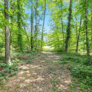 Photo #23 of Lot A PENNY LN, CHARLOTTESVILLE, VA 2.0 acres