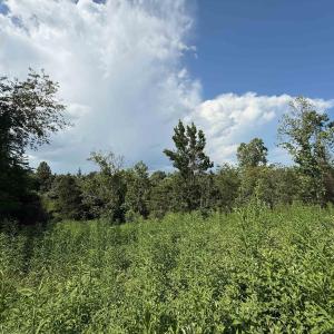 Photo #1 of 2 GRAND VIEW DR, CHARLOTTESVILLE, VA 6.9 acres