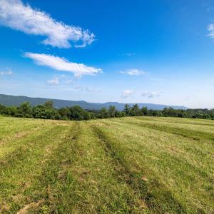 Photo #3 of TBD ESTHER'S LOOKOUT, SHENANDOAH, VA 5.9 acres