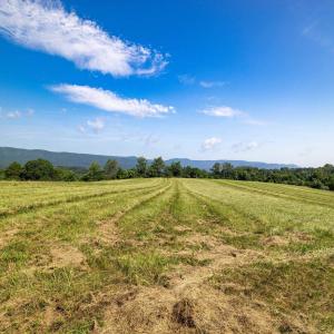 Photo #2 of TBD ESTHER'S LOOKOUT, SHENANDOAH, VA 5.9 acres