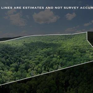 Photo #4 of TBD HALTERMAN HOLLOW LN, MONTEREY, VA 173.8 acres