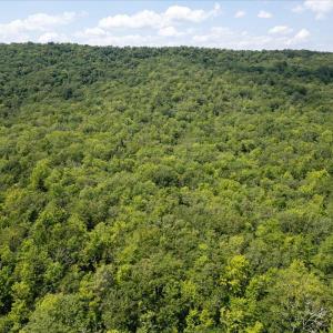 Photo #19 of TBD HALTERMAN HOLLOW LN, MONTEREY, VA 173.8 acres