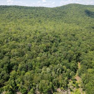 Photo #12 of TBD HALTERMAN HOLLOW LN, MONTEREY, VA 173.8 acres