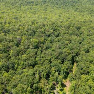 Photo #11 of TBD HALTERMAN HOLLOW LN, MONTEREY, VA 173.8 acres