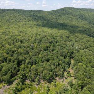 Photo #14 of TBD HALTERMAN HOLLOW LN, MONTEREY, VA 173.8 acres