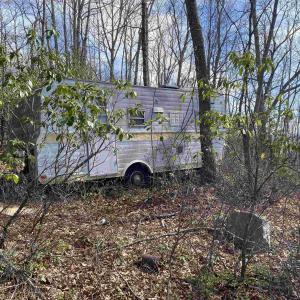 Photo #23 of TBD HALTERMAN HOLLOW LN, MONTEREY, VA 173.8 acres