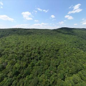 Photo #20 of TBD HALTERMAN HOLLOW LN, MONTEREY, VA 173.8 acres