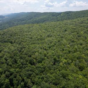 Photo #9 of TBD HALTERMAN HOLLOW LN, MONTEREY, VA 173.8 acres
