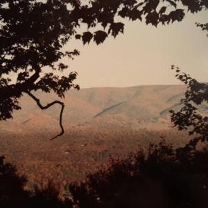 Photo #28 of TBD HALTERMAN HOLLOW LN, MONTEREY, VA 173.8 acres