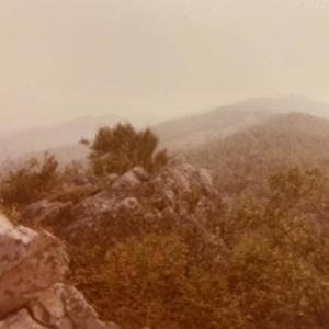 Photo #32 of TBD HALTERMAN HOLLOW LN, MONTEREY, VA 173.8 acres