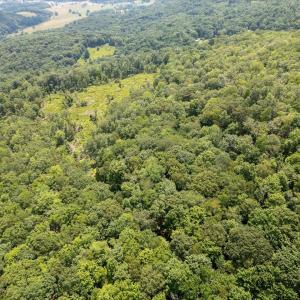 Photo #13 of TBD HALTERMAN HOLLOW LN, MONTEREY, VA 173.8 acres