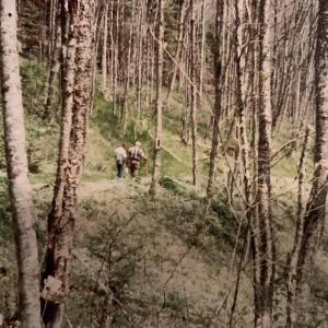 Photo #30 of TBD HALTERMAN HOLLOW LN, MONTEREY, VA 173.8 acres