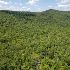 Photo #18 of TBD HALTERMAN HOLLOW LN, MONTEREY, VA 173.8 acres