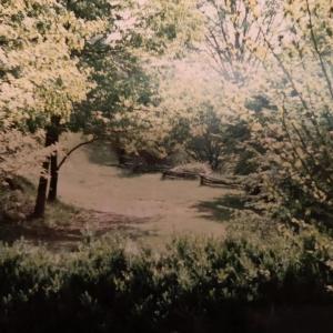 Photo #25 of TBD HALTERMAN HOLLOW LN, MONTEREY, VA 173.8 acres
