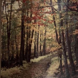 Photo #29 of TBD HALTERMAN HOLLOW LN, MONTEREY, VA 173.8 acres