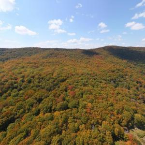 Photo #2 of TBD HALTERMAN HOLLOW LN, MONTEREY, VA 173.8 acres