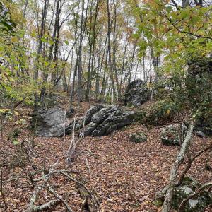 Photo #35 of TBD HALTERMAN HOLLOW LN, MONTEREY, VA 173.8 acres
