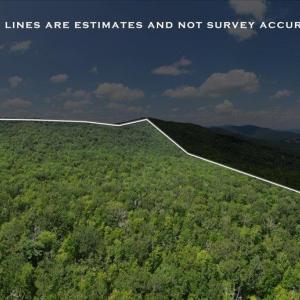 Photo #10 of TBD HALTERMAN HOLLOW LN, MONTEREY, VA 173.8 acres