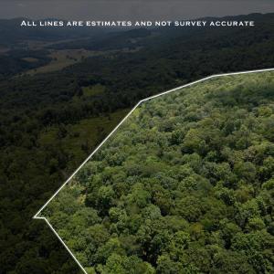 Photo #12 of TBD HALTERMAN HOLLOW LN, MONTEREY, VA 173.8 acres