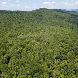 Photo #20 of TBD HALTERMAN HOLLOW LN, MONTEREY, VA 173.8 acres