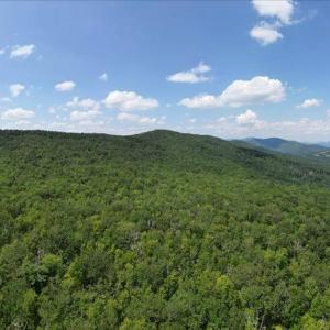 Photo #8 of TBD HALTERMAN HOLLOW LN, MONTEREY, VA 173.8 acres