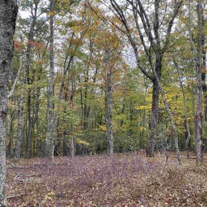 Photo #28 of TBD HALTERMAN HOLLOW LN, MONTEREY, VA 173.8 acres