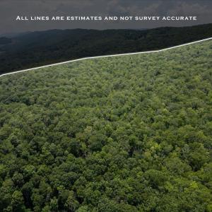 Photo #14 of TBD HALTERMAN HOLLOW LN, MONTEREY, VA 173.8 acres