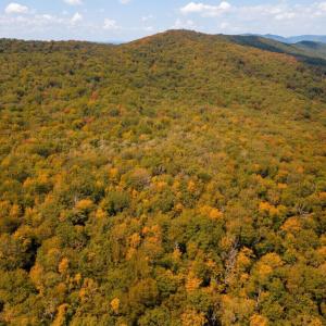 Photo #9 of TBD HALTERMAN HOLLOW LN, MONTEREY, VA 173.8 acres