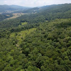 Photo #11 of TBD HALTERMAN HOLLOW LN, MONTEREY, VA 173.8 acres