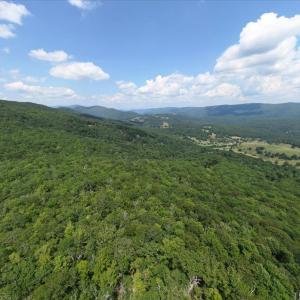 Photo #25 of TBD HALTERMAN HOLLOW LN, MONTEREY, VA 173.8 acres
