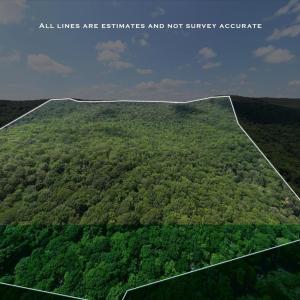 Photo #1 of TBD HALTERMAN HOLLOW LN, MONTEREY, VA 173.8 acres