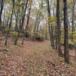 Photo #33 of TBD HALTERMAN HOLLOW LN, MONTEREY, VA 173.8 acres