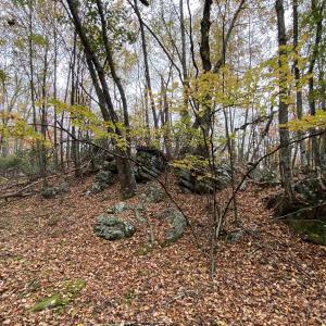 Photo #33 of TBD HALTERMAN HOLLOW LN, MONTEREY, VA 173.8 acres
