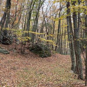 Photo #35 of TBD HALTERMAN HOLLOW LN, MONTEREY, VA 173.8 acres