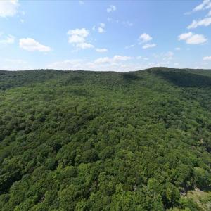 Photo #8 of TBD HALTERMAN HOLLOW LN, MONTEREY, VA 173.8 acres