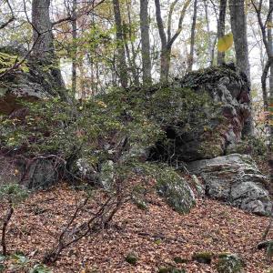 Photo #4 of TBD HALTERMAN HOLLOW LN, MONTEREY, VA 173.8 acres