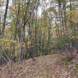 Photo #44 of TBD HALTERMAN HOLLOW LN, MONTEREY, VA 173.8 acres