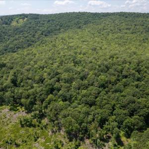 Photo #23 of TBD HALTERMAN HOLLOW LN, MONTEREY, VA 173.8 acres