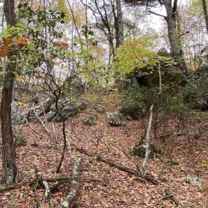 Photo #39 of TBD HALTERMAN HOLLOW LN, MONTEREY, VA 173.8 acres