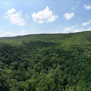 Photo #9 of TBD HALTERMAN HOLLOW LN, MONTEREY, VA 173.8 acres