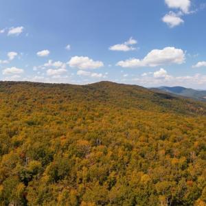 Photo #10 of TBD HALTERMAN HOLLOW LN, MONTEREY, VA 173.8 acres