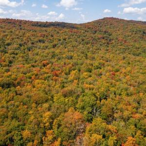 Photo #2 of TBD HALTERMAN HOLLOW LN, MONTEREY, VA 173.8 acres