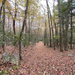 Photo #1 of TBD HALTERMAN HOLLOW LN, MONTEREY, VA 173.8 acres