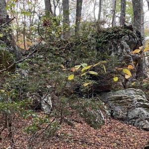Photo #5 of TBD HALTERMAN HOLLOW LN, MONTEREY, VA 173.8 acres