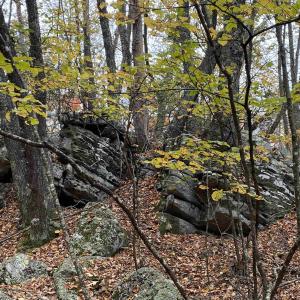 Photo #34 of TBD HALTERMAN HOLLOW LN, MONTEREY, VA 173.8 acres