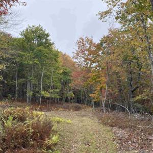 Photo #6 of TBD HALTERMAN HOLLOW LN, MONTEREY, VA 173.8 acres