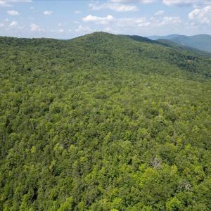 Photo #25 of TBD HALTERMAN HOLLOW LN, MONTEREY, VA 173.8 acres