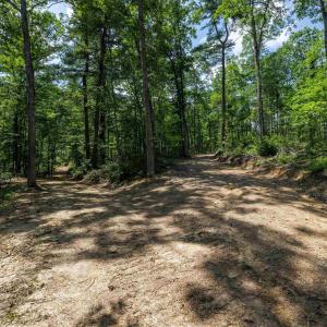 Photo #10 of TBD STRIBLING SPRINGS RD, MOUNT SOLON, VA 33.0 acres